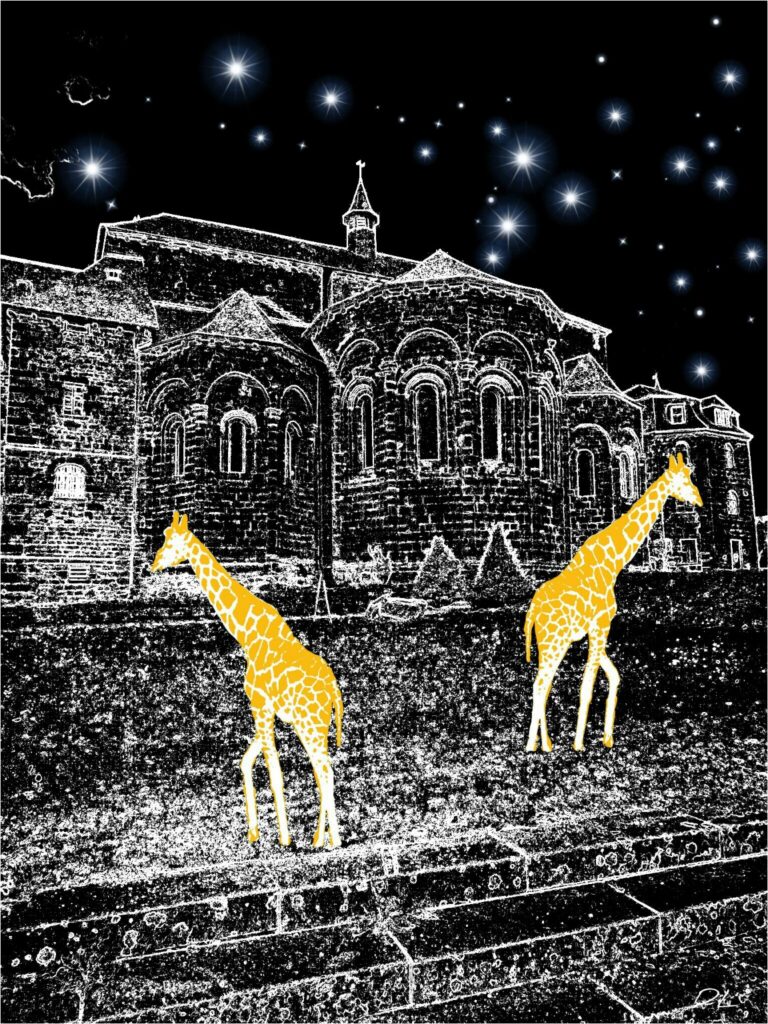 Girafes la nuit à l'abbaye